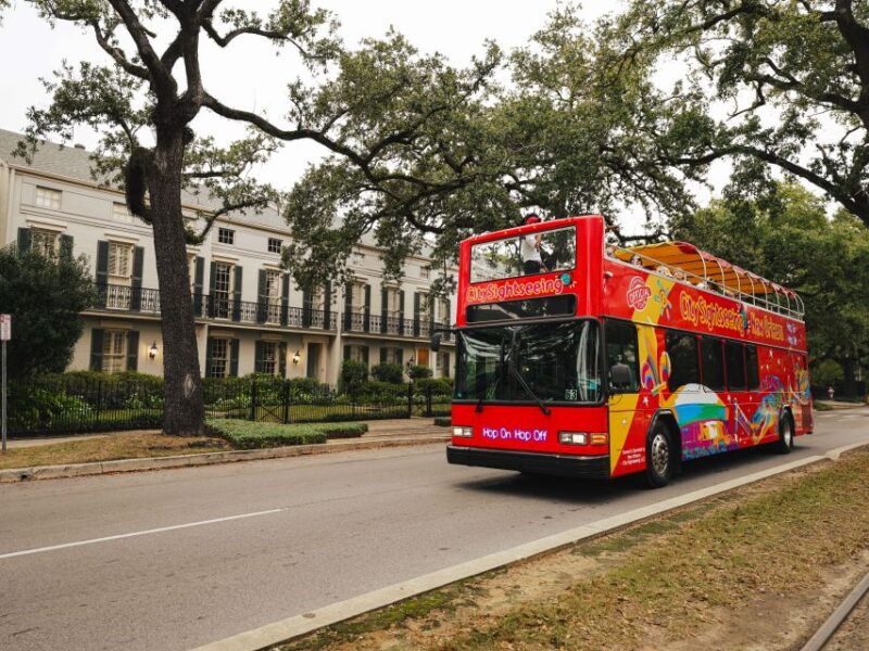 new-orleans-2-3-days-hop-on-hop-off-bus-with-walking-tour