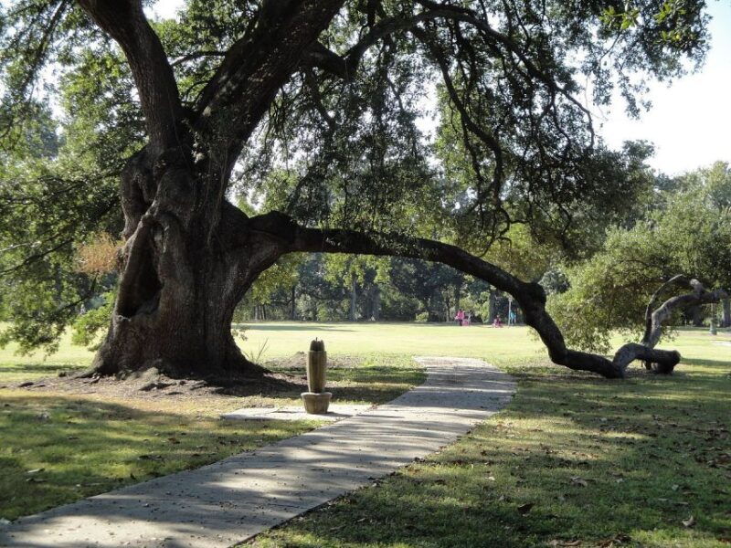 new-orleans-2-5-hour-city-cemetery-tour-by-bus