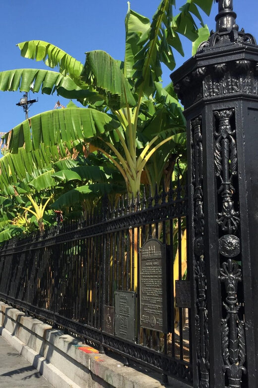 New Orleans: 45 Minutes in Jackson Square - A Cultural Melting Pot