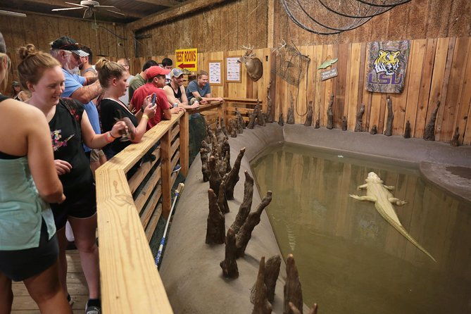 new-orleans-airboat-ride