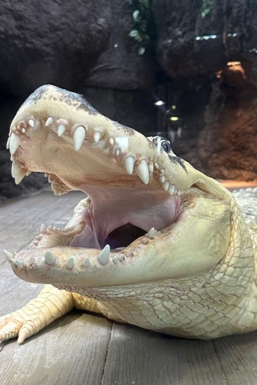 new-orleans-audubon-aquarium-insectarium-ticket