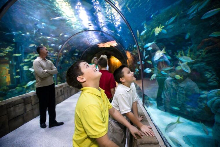 new-orleans-audubon-aquarium-insectarium-ticket