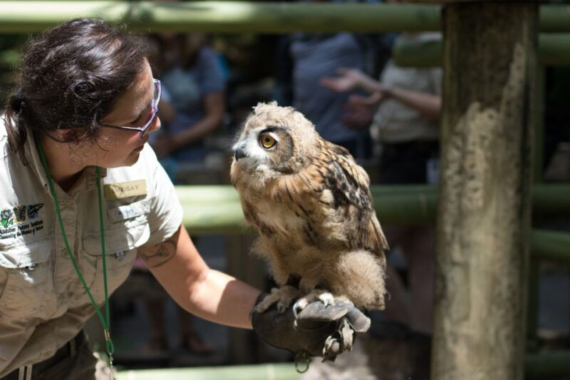 new-orleans-audubon-zoo-ticket-and-combination-option
