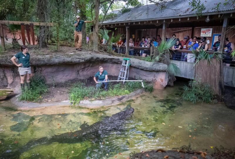 new-orleans-audubon-zoo-ticket-and-combination-option