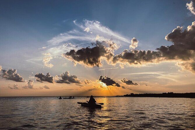 New Orleans Bayou Adventure: Kayak Rental - The Booking and Check-In Process