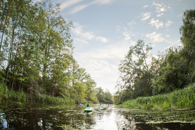 New Orleans Bayou Adventure: Kayak Rental - Who Would Love This Experience?