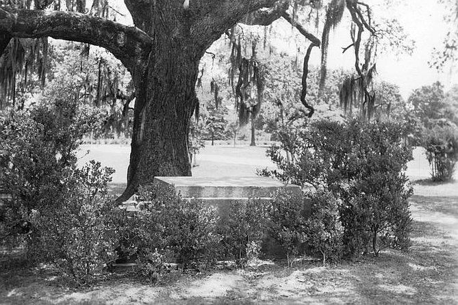 new-orleans-dead-of-night-ghosts-and-cemetery-bus-tour