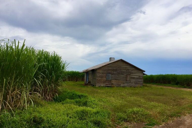 new-orleans-destrehan-plantation-airboat-combo-tour