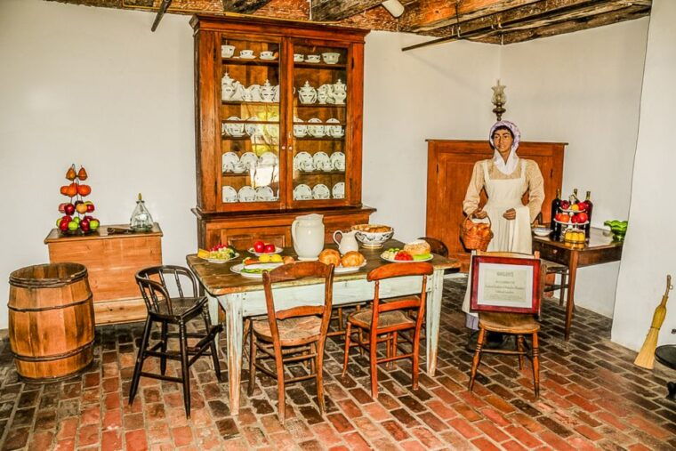 new-orleans-destrehan-plantation-swamp-combo