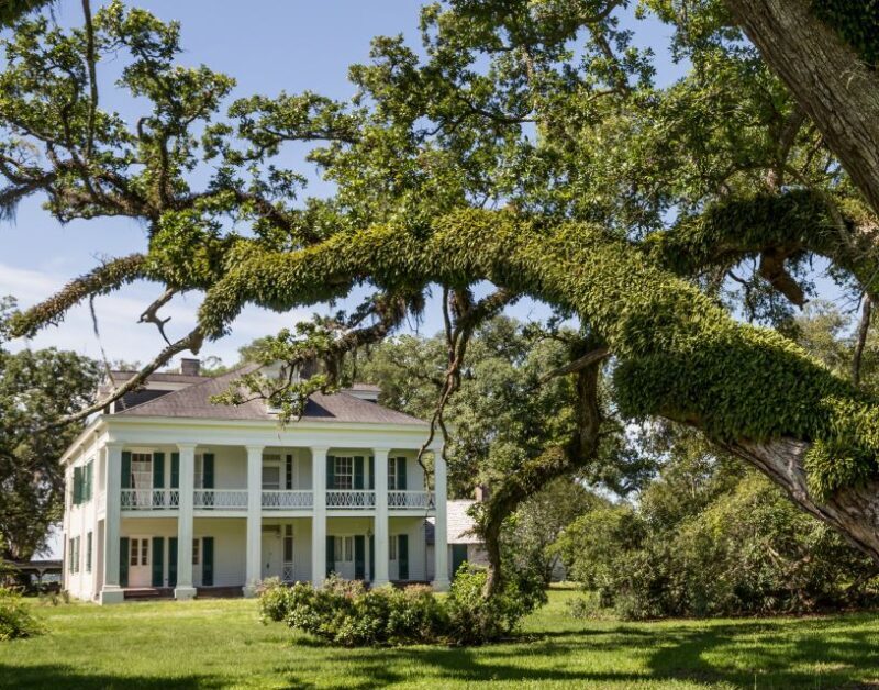 New Orleans: Felicity Plantation Guided Tour - Final Thoughts: Who Should Consider This Tour?