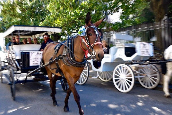 new-orleans-french-quarter-and-more-carriage-ride