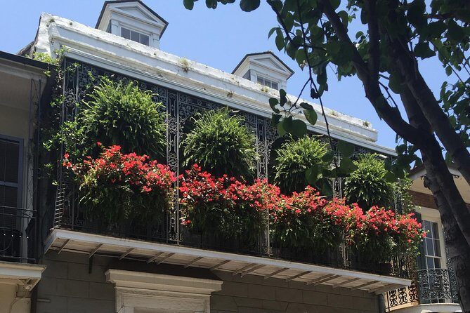 New Orleans French Quarter Architecture Walking Tour - Why This Tour Is a Great Choice