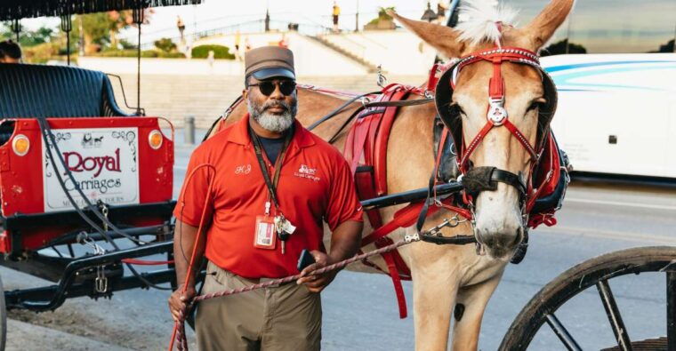 new-orleans-french-quarter-sightseeing-carriage-ride