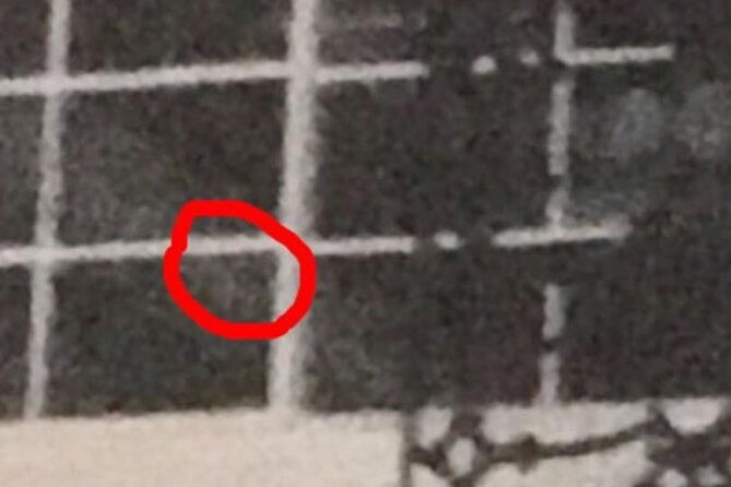 new-orleans-ghost-adventure-with-real-paranormal-equipment