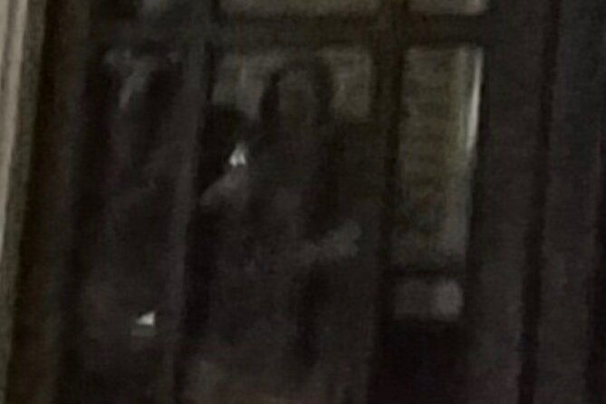 new-orleans-ghost-adventure-with-real-paranormal-equipment