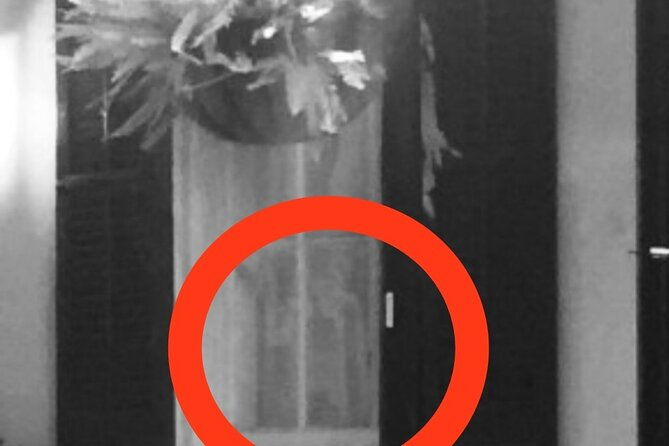 new-orleans-ghost-hunt-experience-voices-from-beyond