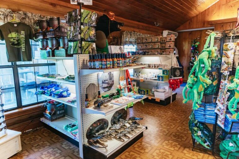new-orleans-guided-swamp-cruise-by-tour-boat