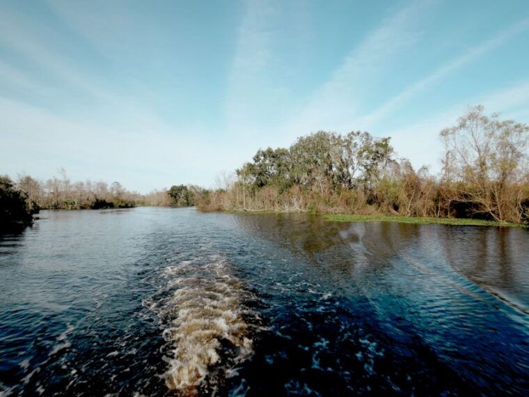 new-orleans-high-speed-16-passenger-airboat-ride