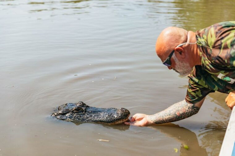 new-orleans-high-speed-9-passenger-airboat-tour