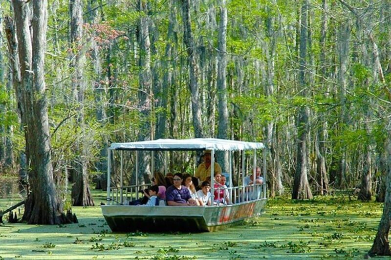 New Orleans: Honey Island Swamp and Bayou Boat Tour - FAQ