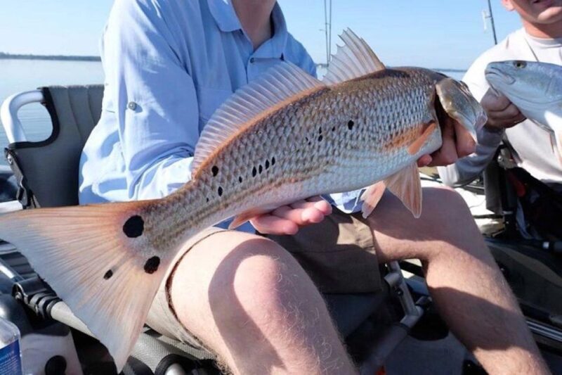 New Orleans: Kayak Fishing Charter in Bayou Bienvenue - What Makes This Kayak Fishing Tour Stand Out