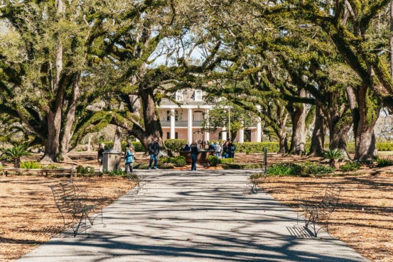 new-orleans-oak-alley-plantation-airboat-swamp-combo-tour