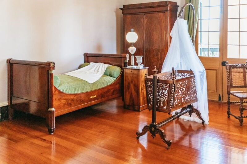 new-orleans-oak-alley-plantation-airboat-swamp-combo-tour