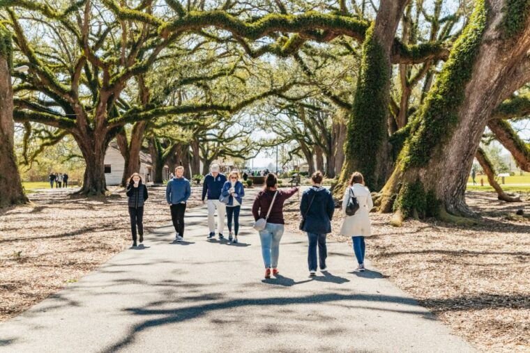 new-orleans-oak-alley-plantation-airboat-swamp-combo-tour
