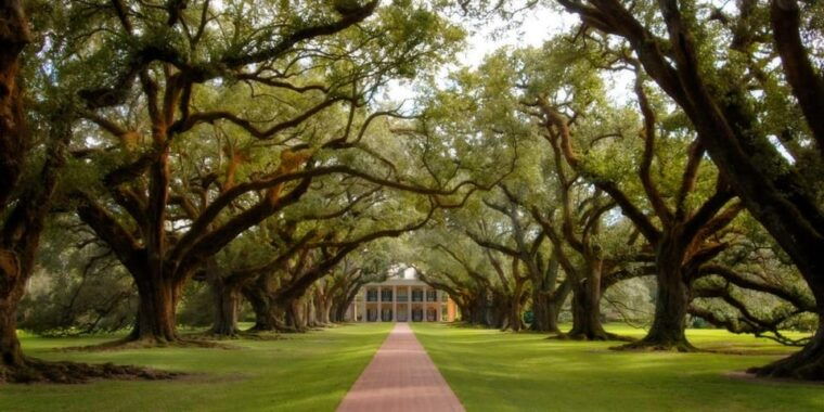 new-orleans-oak-alley-plantation-half-day-tour