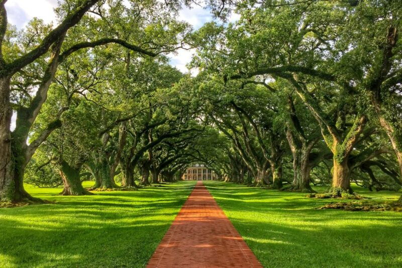 new-orleans-oak-alley-plantation-tour-with-transportation