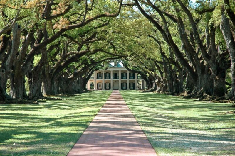New Orleans: Single Plantation and Pontoon Swamp Day Trip - Key Points