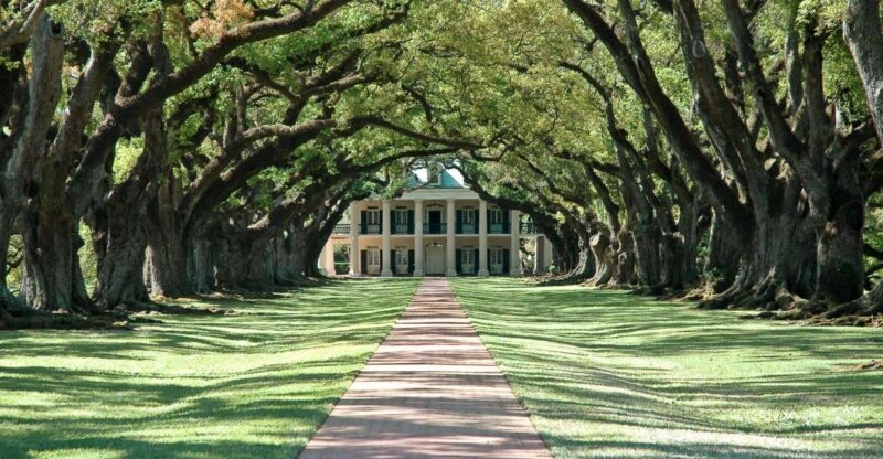 New Orleans: Single Plantation and Pontoon Swamp Day Trip - What We Love About This Tour