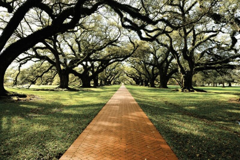 New Orleans: Single Plantation and Pontoon Swamp Day Trip - Final Thoughts: Is This Tour Worth It?