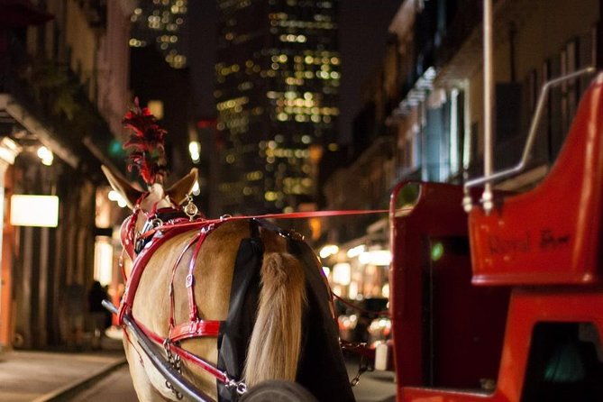 new-orleans-small-group-haunted-history-carriage-tour