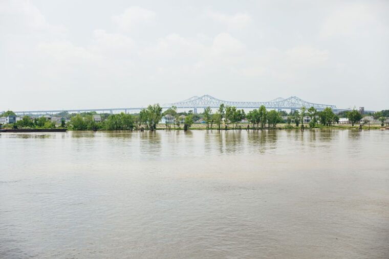 new-orleans-steamboat-natchez-jazz-cruise-with-lunch-option