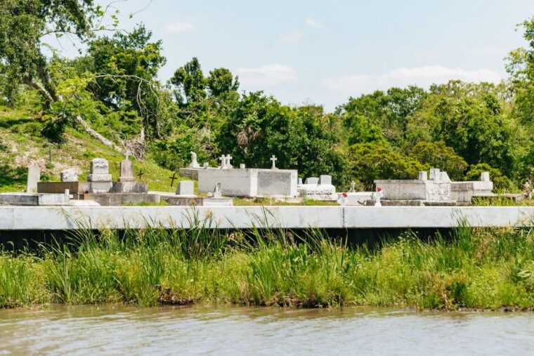 new-orleans-swamp-bayou-boat-tour-with-transportation