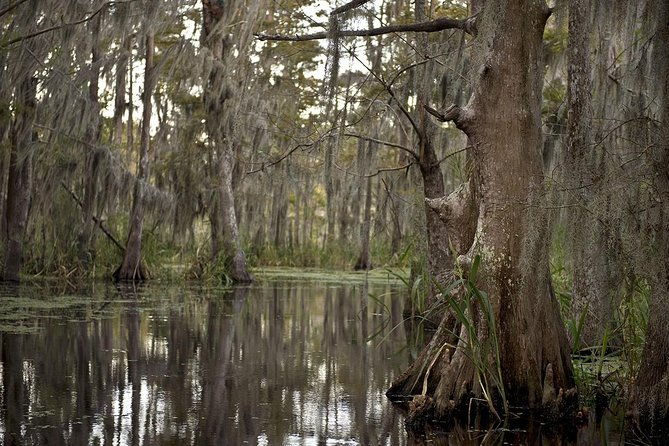 new-orleans-swamp-tour-boat-adventure