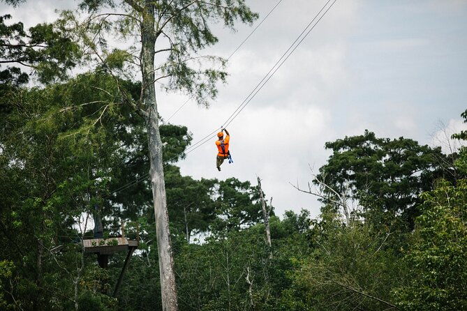 new-orleans-zipline-swamp-tour