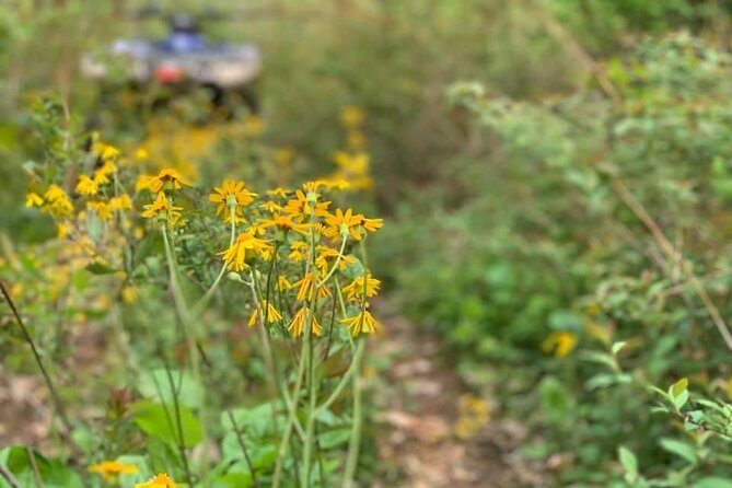 New River Gorge ATV Adventure Tour - The Sum Up: Who Should Consider This Tour?