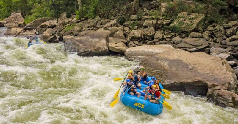 new-river-gorge-whitewater-rafting-lower-new-full-day