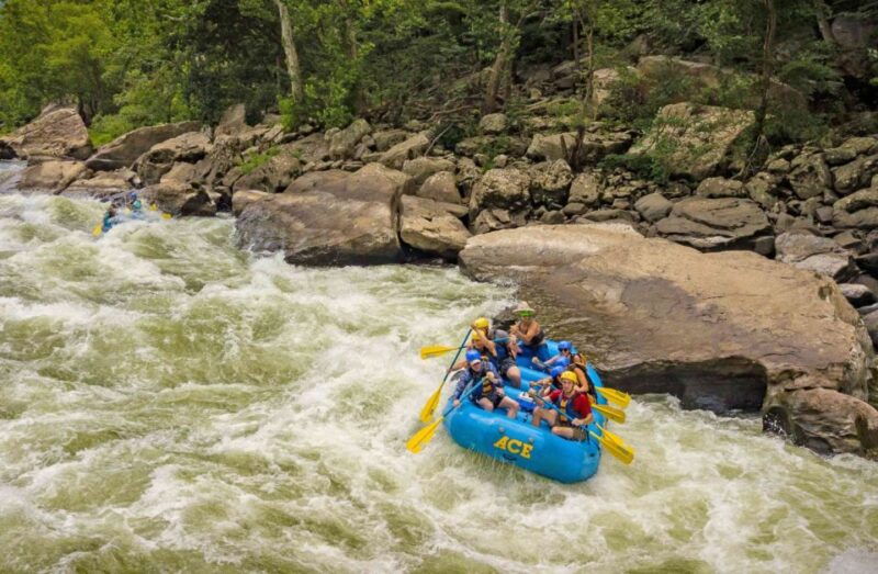 new-river-gorge-whitewater-rafting-lower-new-half-day
