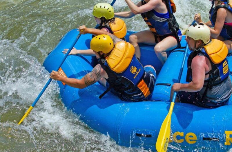 new-river-gorge-whitewater-rafting-lower-new-half-day