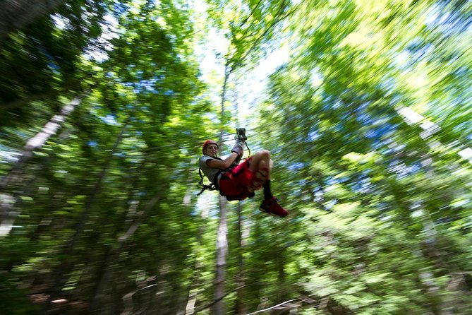 new-river-gorge-zip-line-canopy-tour