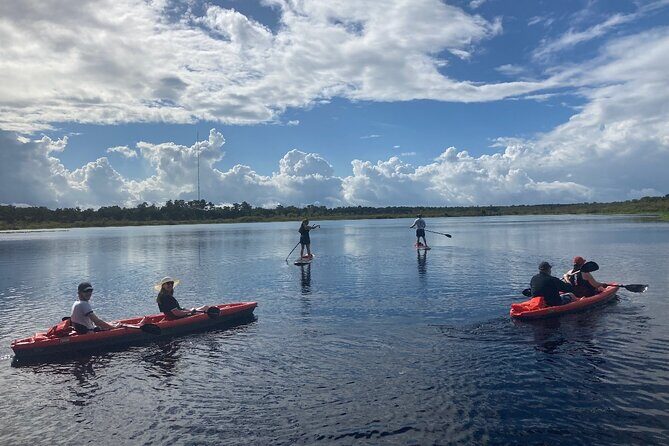 New Smyrna Dolphin and Manatee Kayak and SUP Adventure Tour - Who is This Tour Best For?
