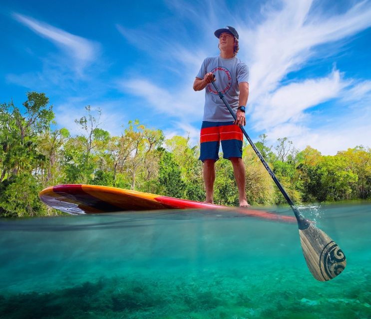 new-smyrna-half-day-guided-sup-or-kayak-waterways-tour
