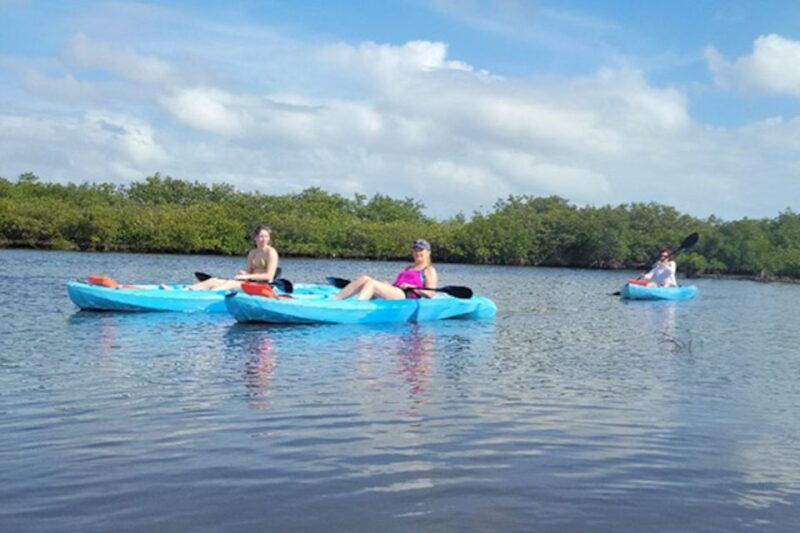new-smyrna-half-day-guided-sup-or-kayak-waterways-tour