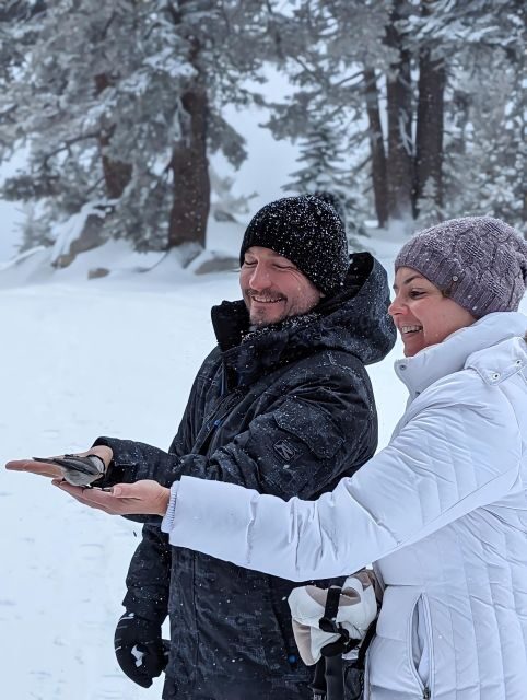 New Washoe City: Chickadee Ridge Beginner Snowshoeing Hike - Practical Details for Visitors