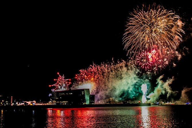 new-years-eve-fireworks-cruise-in-reykjavik
