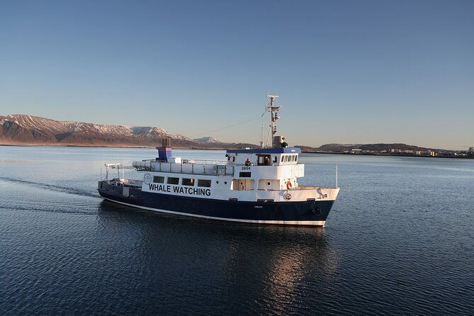 new-years-fireworks-by-boat-from-reykjavik