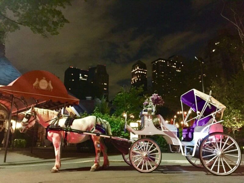 new-york-carriage-ride-in-central-park